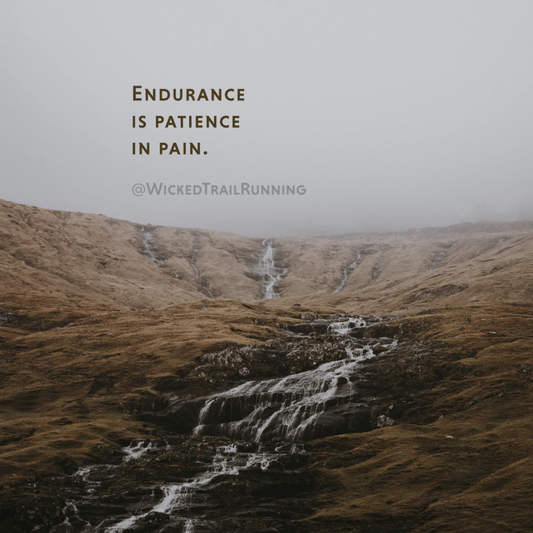 5X5 Print: Endurance